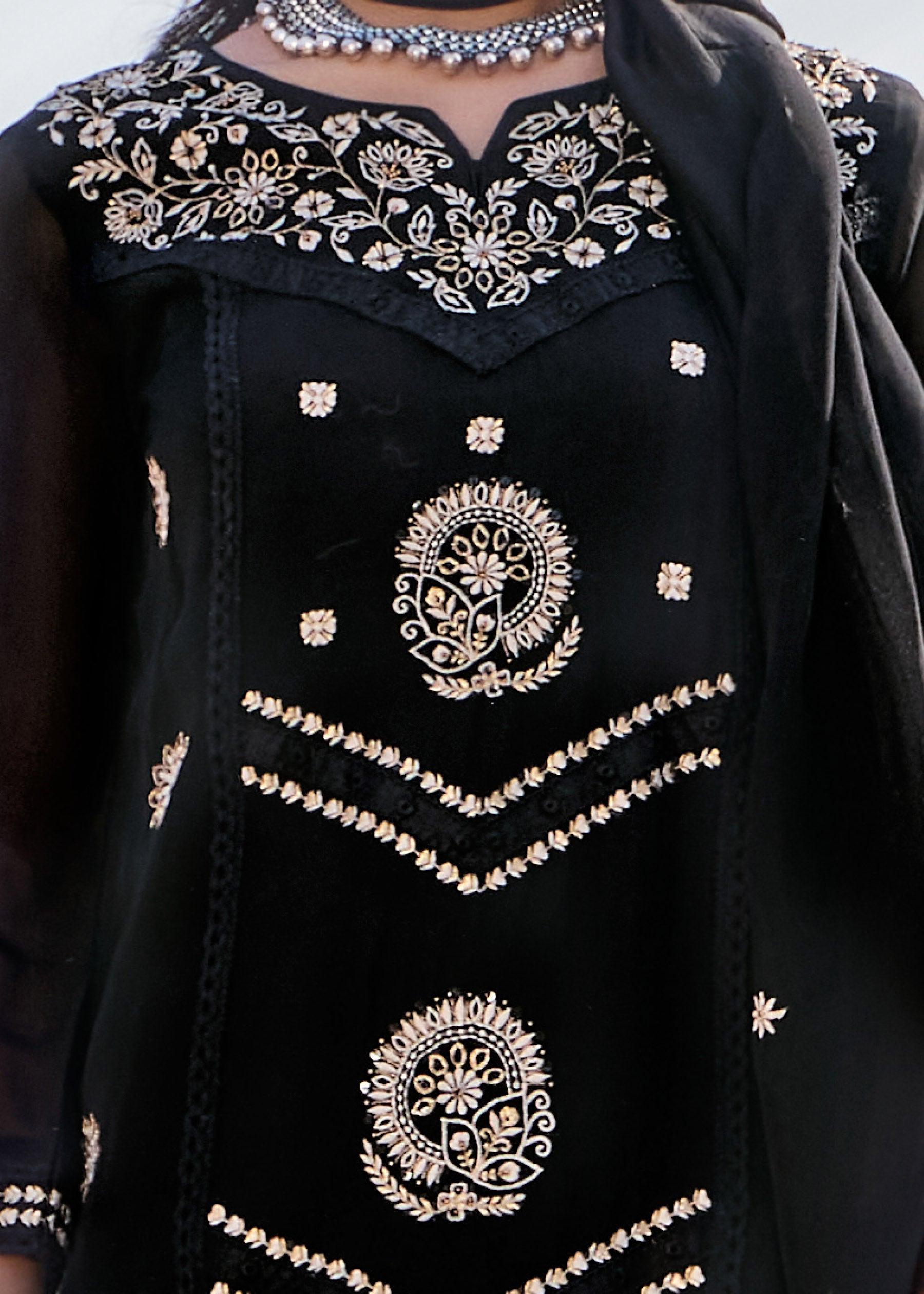 Delphine Embroidered Organza Kurta Set