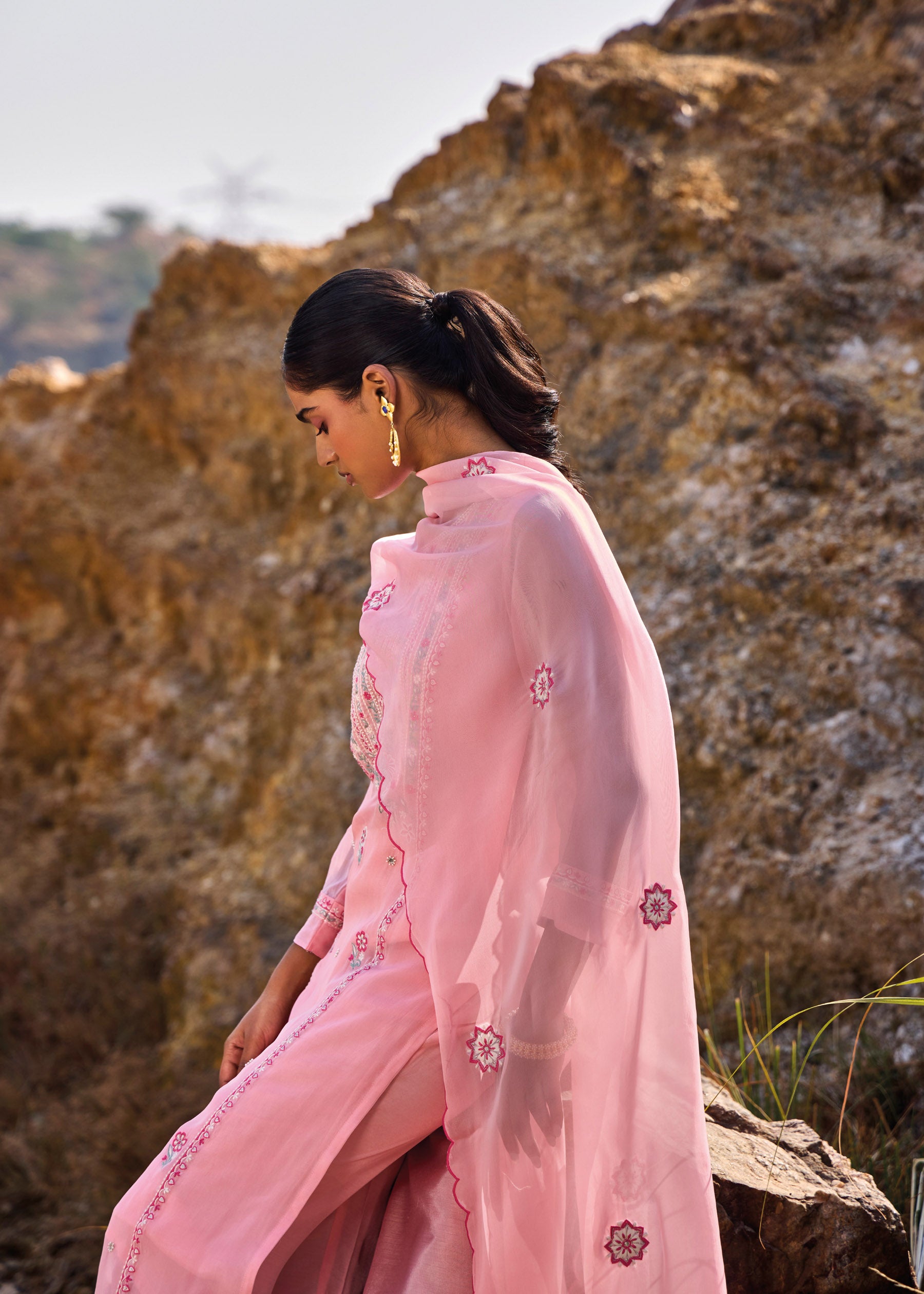 Mirabelle Luxe Organza Kurta Set