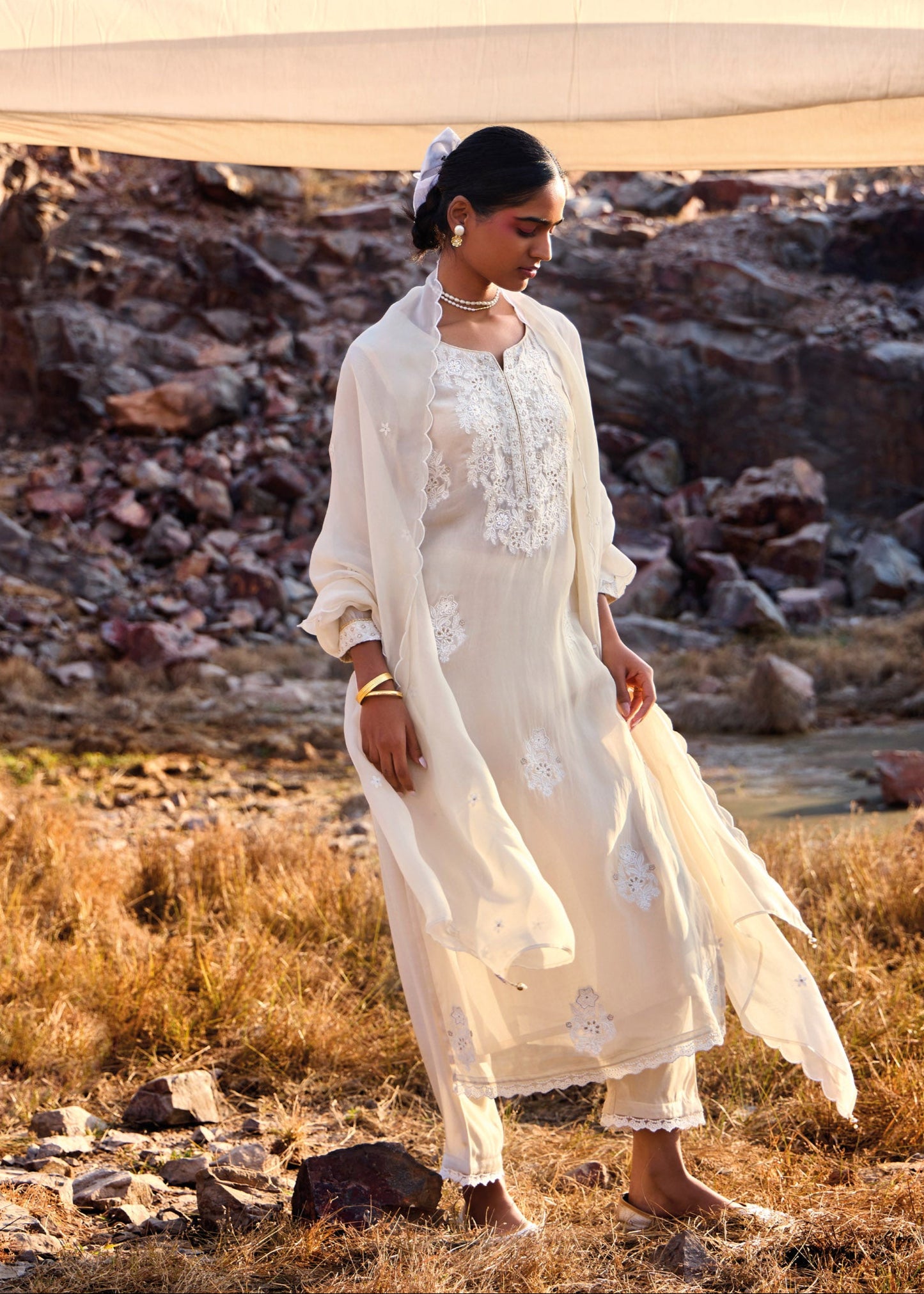 Soraya Designer Organza Kurta Set