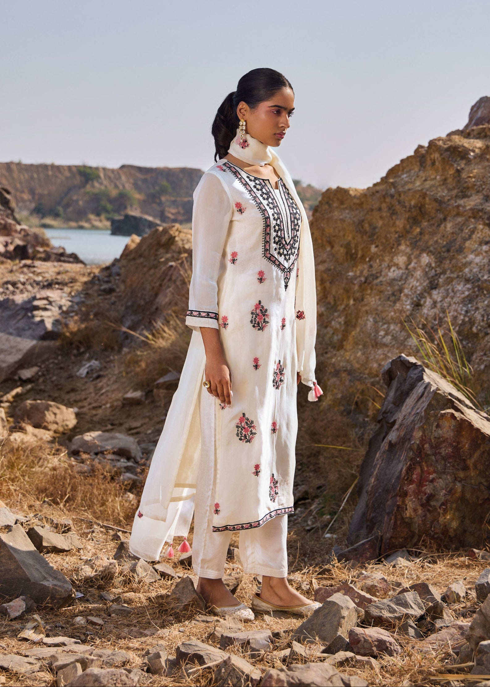 Zenovia Luxe Organza Kurta Set