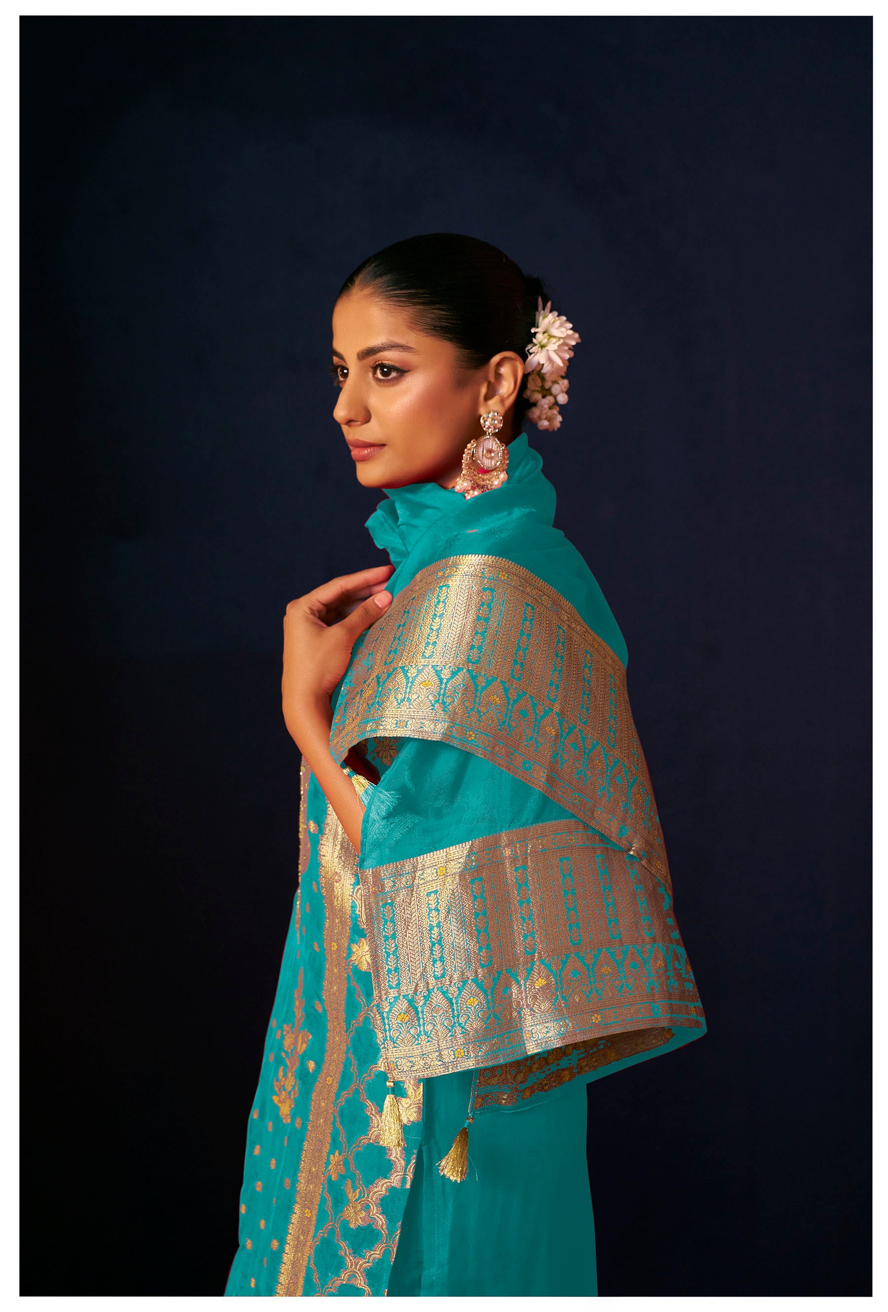 Lunessa Rama Organza Jacquard Kurta Set