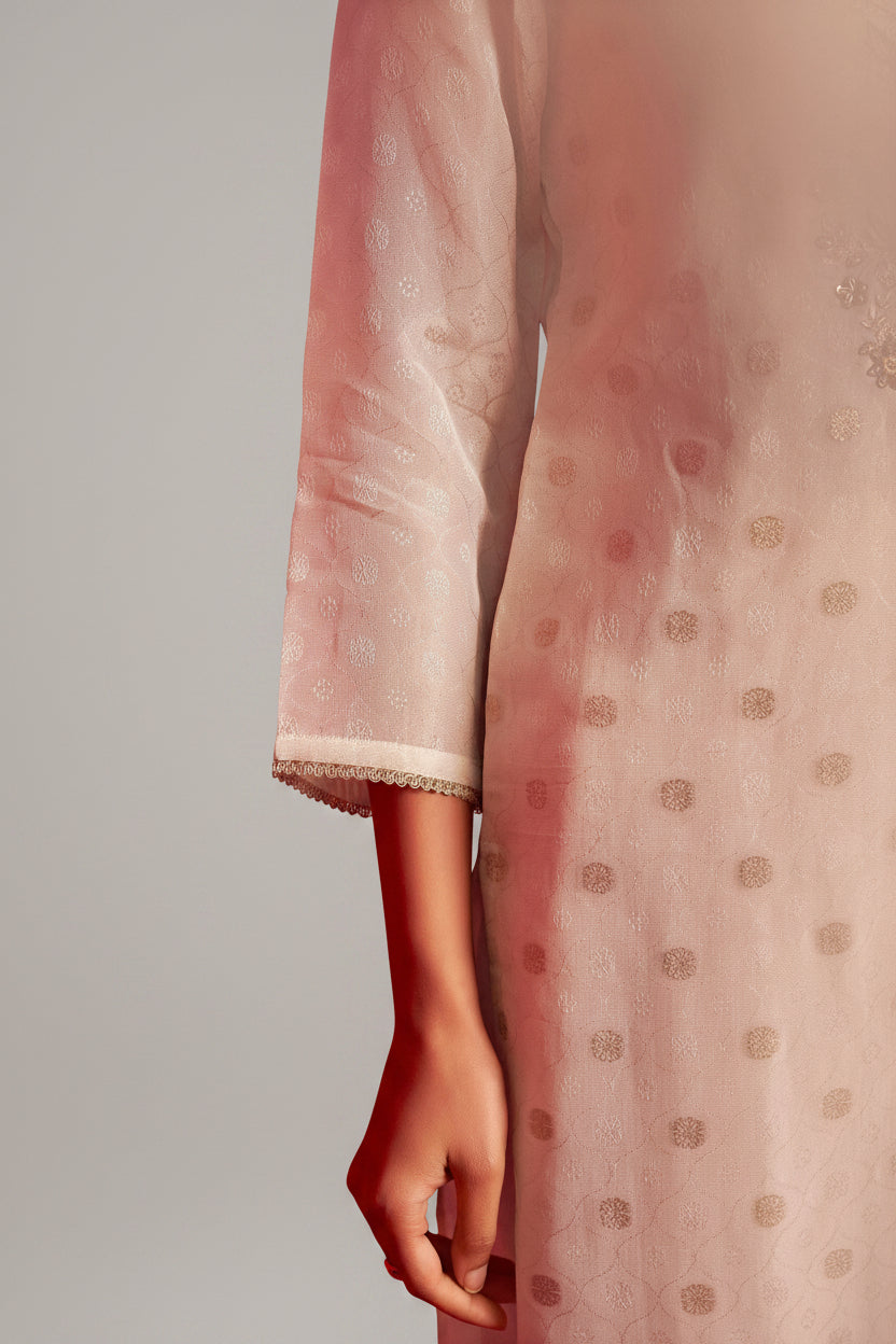 Tissue Organza Kurta Set