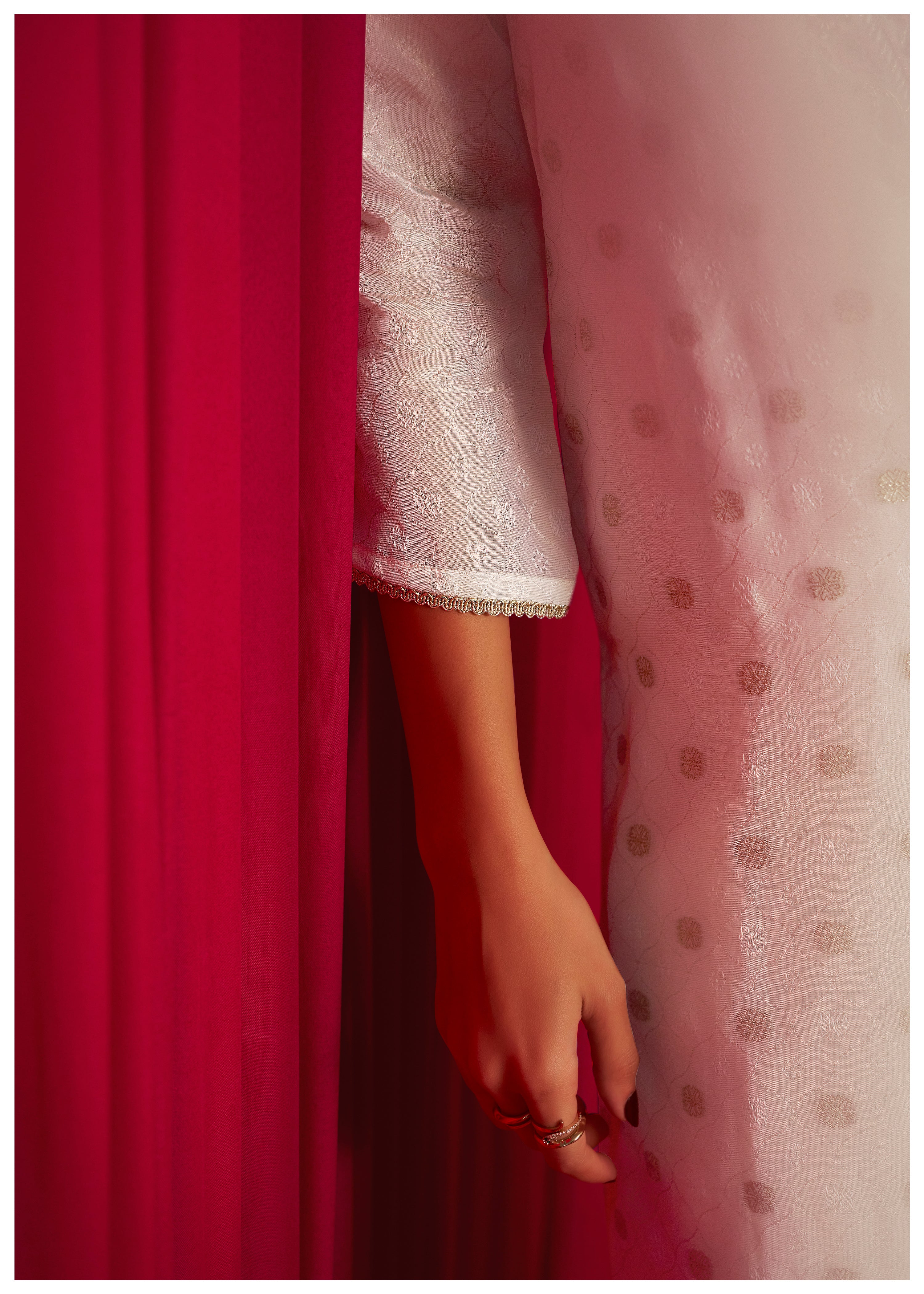 Embroidered Tissue Organza Set