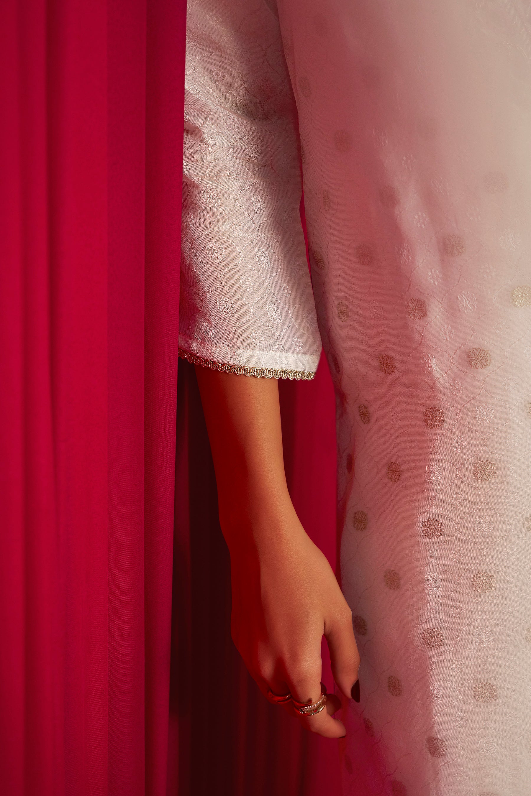 Embroidered Tissue Organza Set