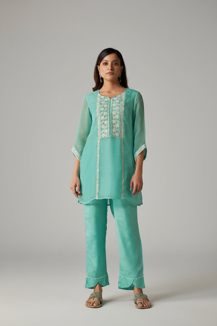 Azure Allure Organza Embroidered Co-ords