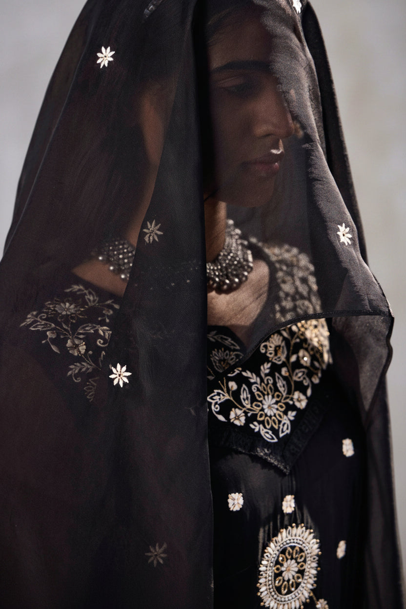 Delphine Embroidered Organza Kurta Set