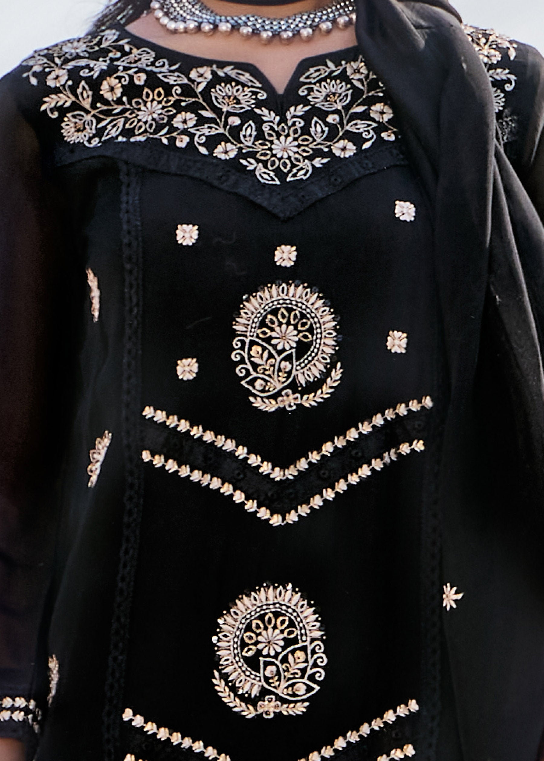 Delphine Embroidered Organza Kurta Set