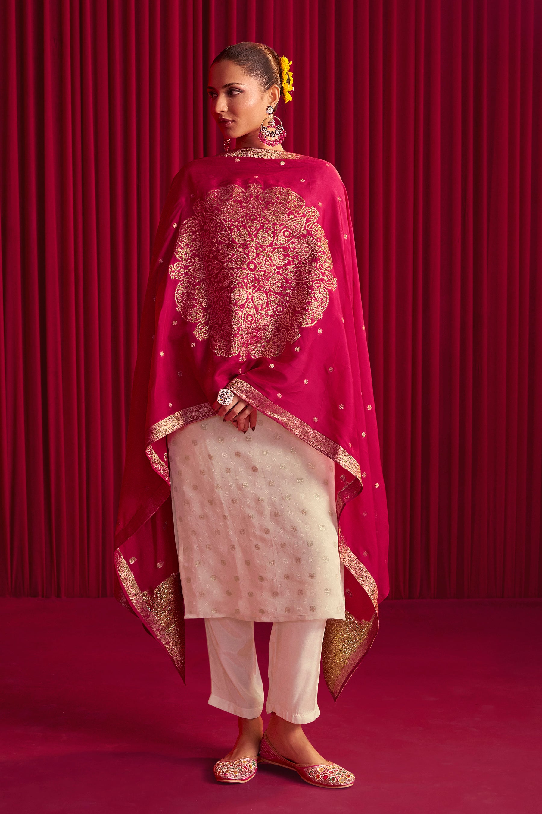 Embroidered Tissue Organza Set