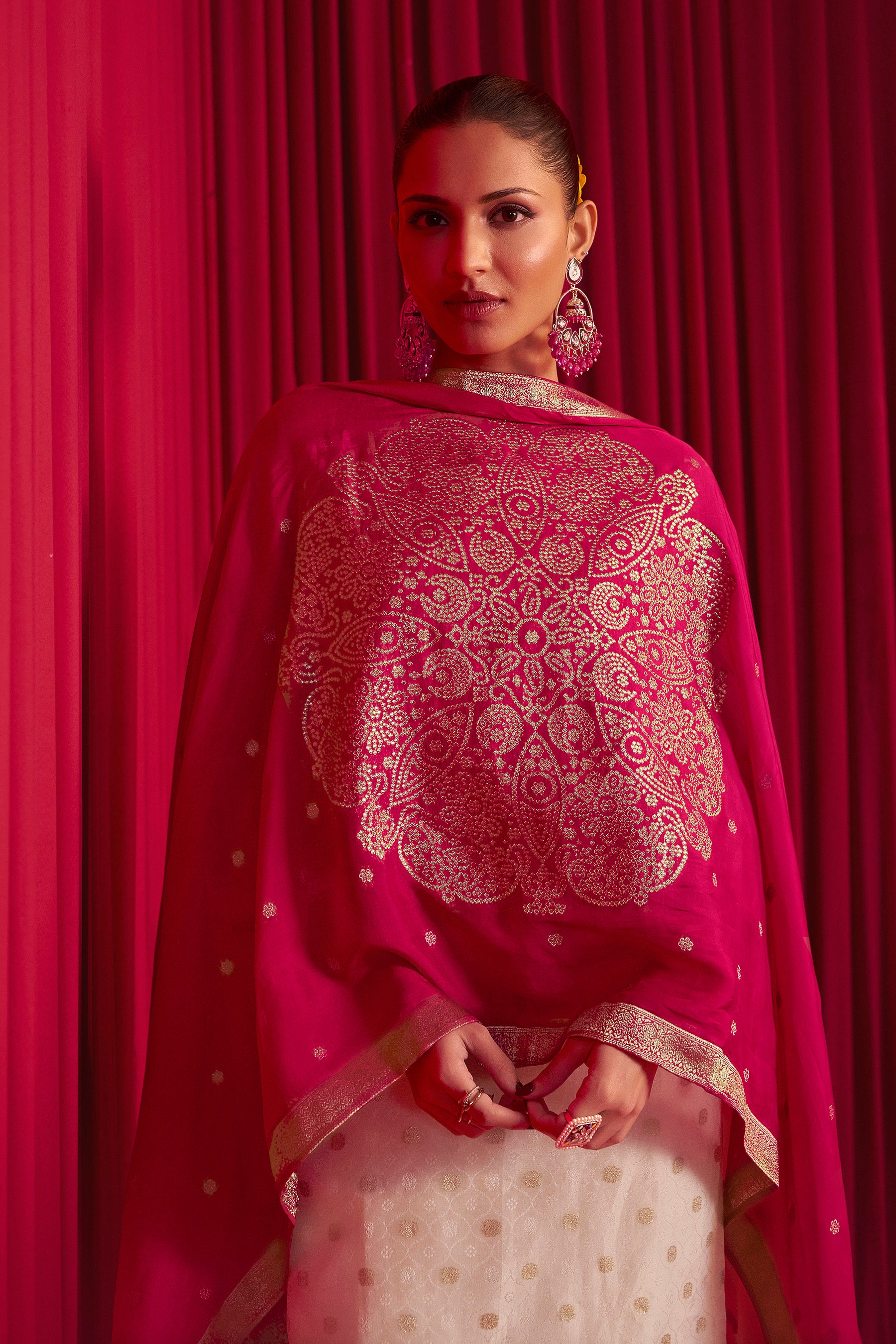 Embroidered Tissue Organza Set